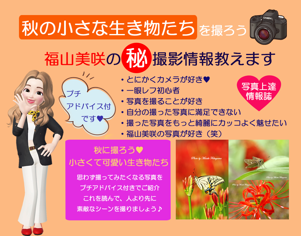 秋の生き物撮影術♪福山美咲の㊙撮影情報教えます 福山美咲の撮影情報をプチアドバイス付で学ぶことが出来ます♡