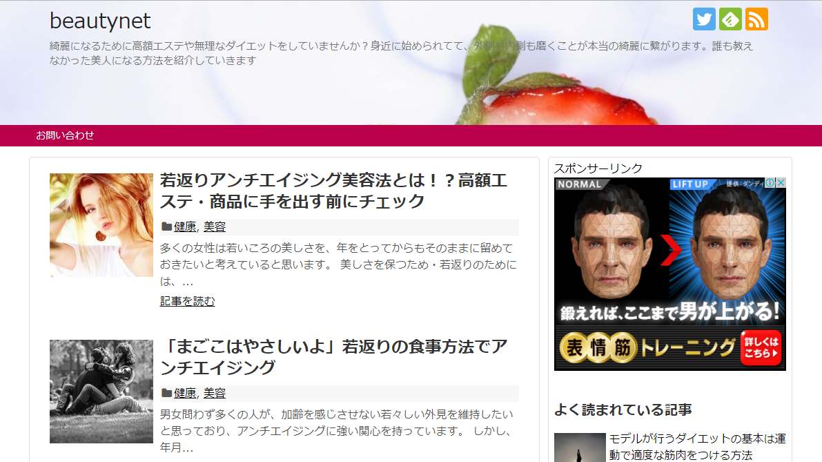 私のサイトと同様使用にしてあなたのサイトを作ります サイトを作りたいけど不安、記事を書くに集中したい人におすすめ