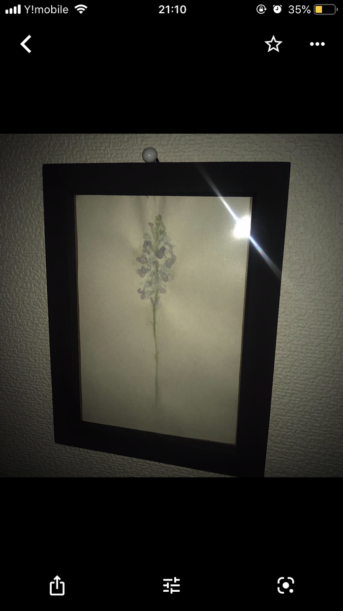 お花、描きます 鑑賞用、インテリア、プレゼントとしてどうぞ