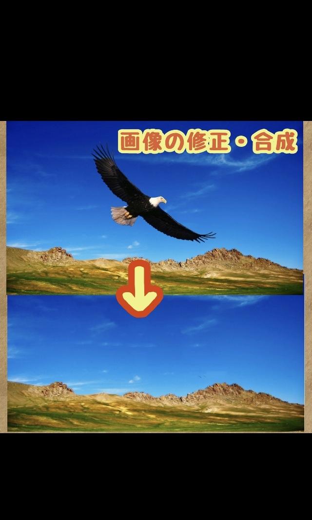 画像の修正・合成・改良致します ★ご満足頂けるまで調整可能です
