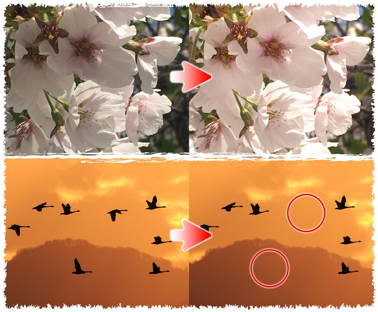 Photoshopで簡単な写真加工いたします ちょっとした加工でキレイな写真に♪明るさの調整や白抜きなども