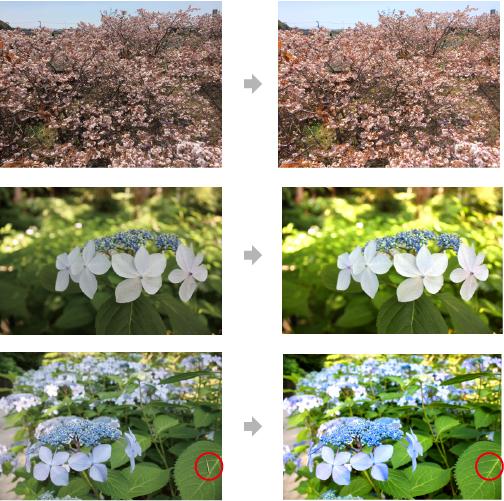 背景を消す、明るくするなど簡単な画像の加工します ちょっと困った!ここが直れば!など写真で困ったときに