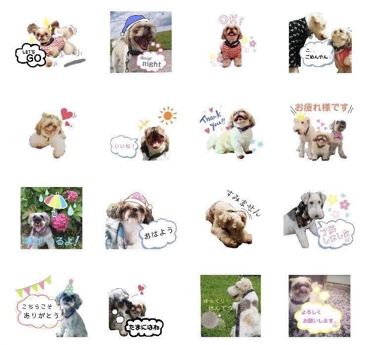世界に1つだけのLINEスタンプ作ります 修正何度でも無料!相談を重ねて満足いく仕上がりに!
