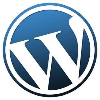 ドメインやサーバーの取得を全面サポートします WordPressでHPやブログを始めたい初心者の方へ。