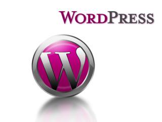 WordPressプラグイン作成します 現役プログラマーがあなたのだけのプラグインを作成