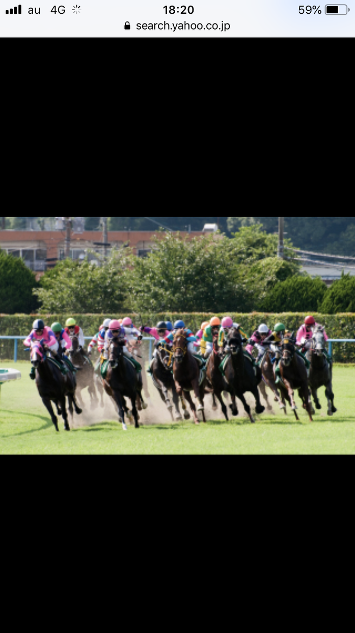 競馬予想!あなたにとって最適な馬券算出いたします 現役京大医学部生が考案したロジックです!