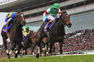 厳選レース公開します 中央競馬の厳選レースを数本まとめて公開します!