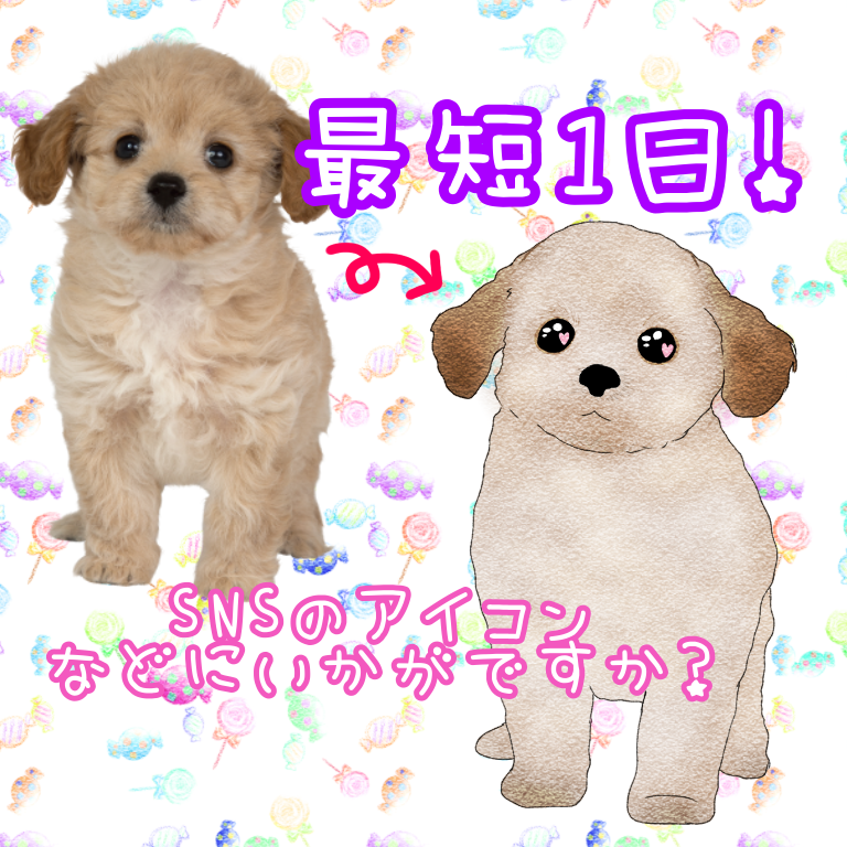 納品最短1日☆ペットをキャラクター化します ペットをデフォルメしてキャラクター化します