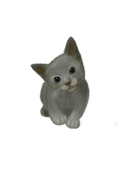 ペットのイラスト描きます 大好きなペットの写真をイラスト化します