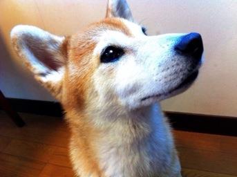 コンピュータグラフィックスの制作外注で、その見積もりが正しいか査定します。