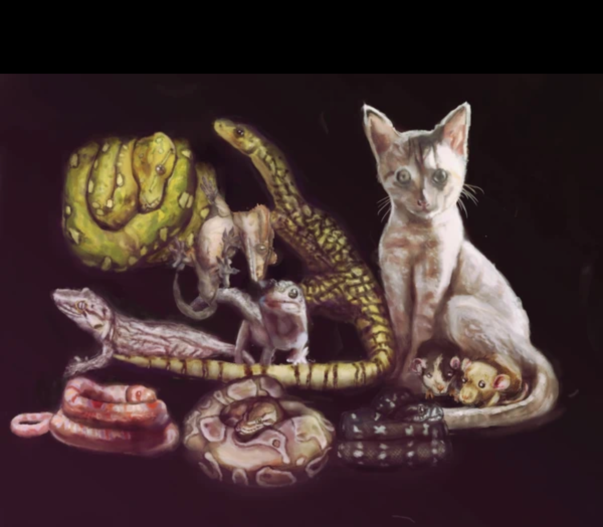 ペットのイラストをリアルに描きます 最短1日でペットや動物のイラスト作成