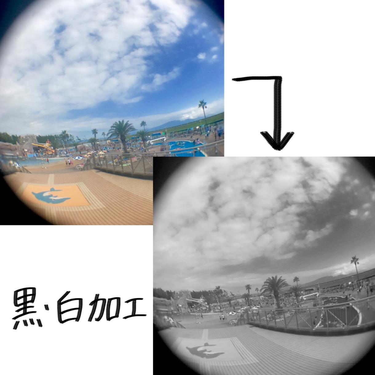 黒白加工致します モノトーンな雰囲気にしたいお写真がある方にオススメです!