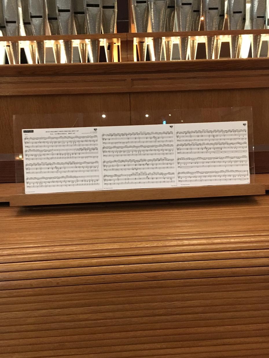 あなたの曲にぴったりの詩を書き上げます 哲学的なものから厨二っぽいもの、ラブソングまで対応します!