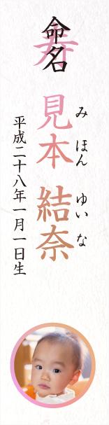 命名札 シンプル(おんなのこ)【5枚入】