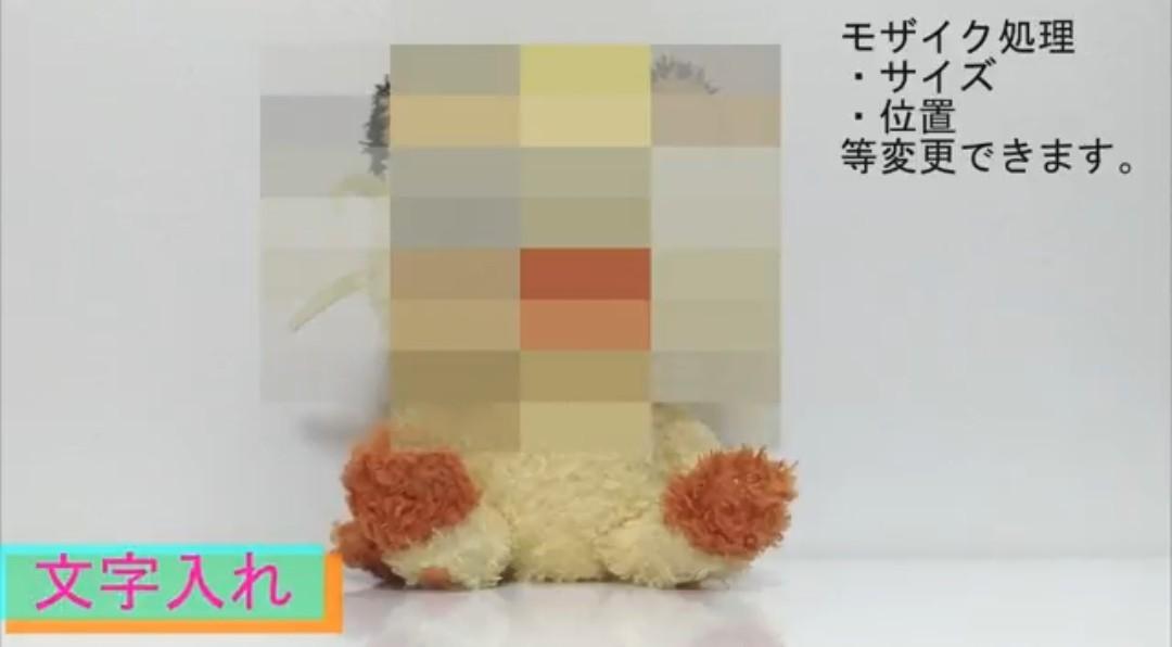 短い動画編集・加工承ります モザイク処理 BGM 字幕・テロップ挿入 分割結合致します。