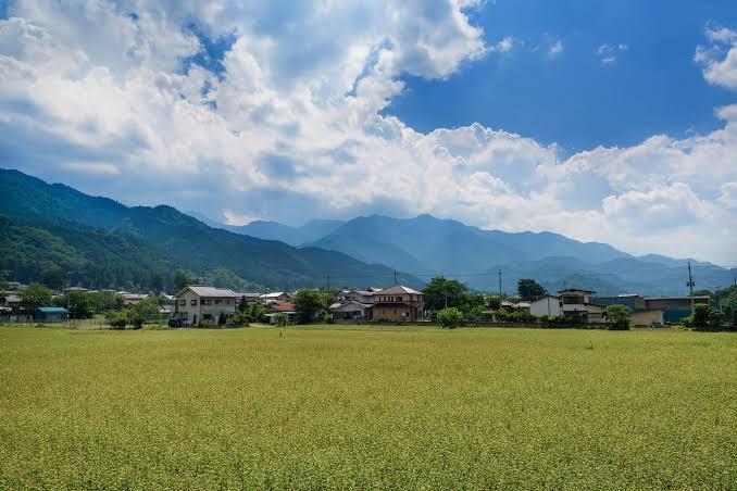 田舎の風景を写真で撮ります 田舎ならではの風景写真が欲しい方!