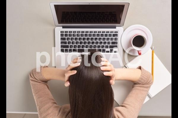 Word Prdss初心者向けに贈ります Word Pressインストール(必要な設定)全て行います!