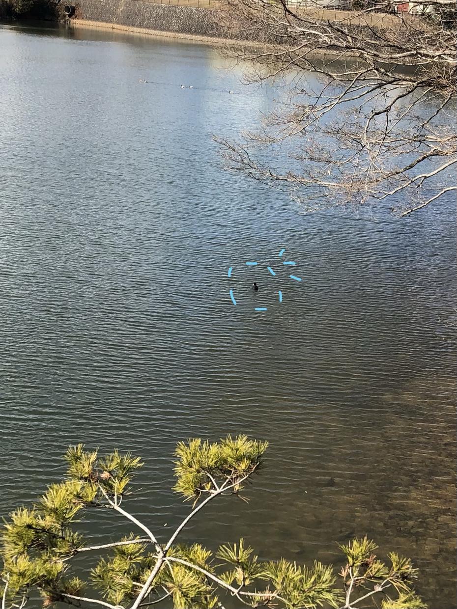 失せ物、探し物のみつけかた教えます 探しても見つからない物があるときに使える方法です失せ物 その他(占い) ココナラ 失せ物、探し物のみつけかた教えます 探しても見つからない物があるときに使える方法です失せ物 その他(占い) ココナラ