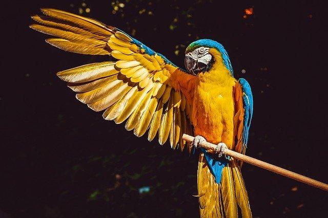クリエイティブの効果を最大化させるコツが分かります CVRを最大化するバナー・LPなどの改善方法をお伝えします