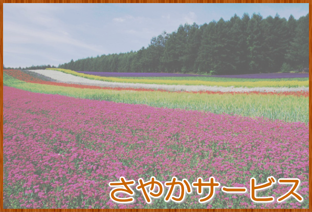 体験代行 貴方の代わりに体験します 忙しく外出ができない、自分ではできない体験をしたい方にお奨め