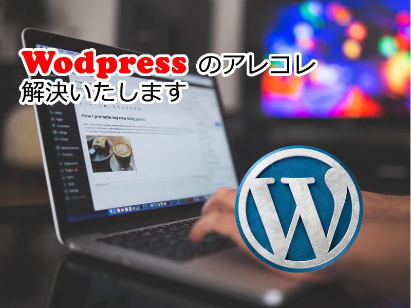 Wodpressのアレコレ解決いたします サイトを作ったけれどちょっとしたことでつまづいているあなたに