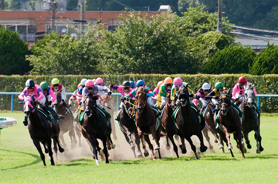的中馬券の極意 TK式馬券的中アイテム表伝授します どの馬番からどの馬番が連対するか秒殺できる究極のアイテム