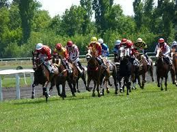競馬の金言教えます いつでも使える金言。知ってて損なし!迷ったら金言に従え。