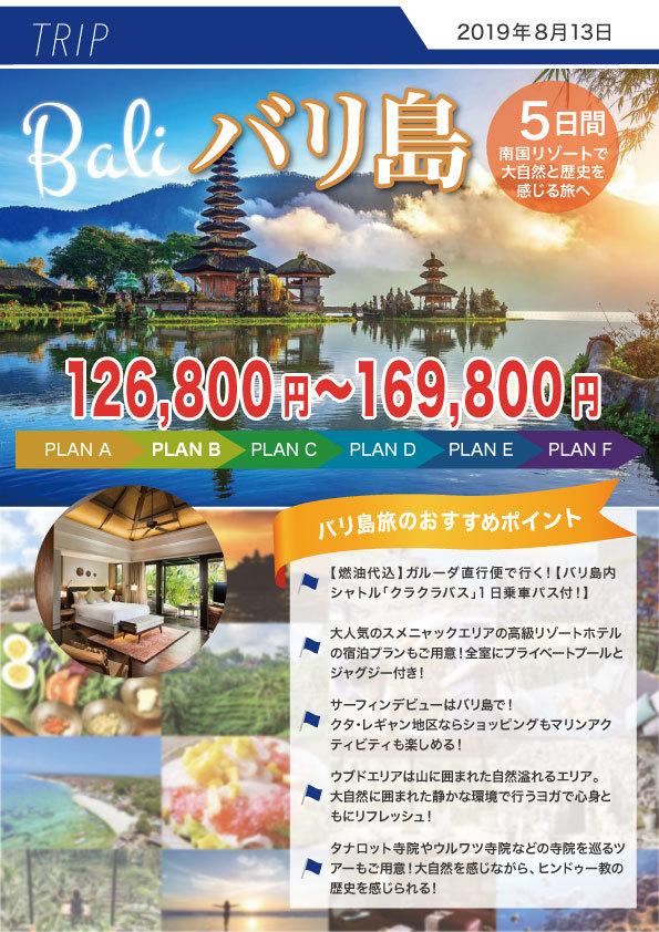 格安で!チラシ・フライヤー制作を承ります 綺麗なだけじゃない、見やすく、伝わりやすいチラシを作成します
