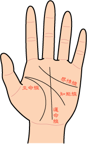 手相と数秘からの2軸であなたのお悩み鑑定いたします 人生が描かれた手相、あなたが生まれ持つ資質、運勢を読解きます イメージ1