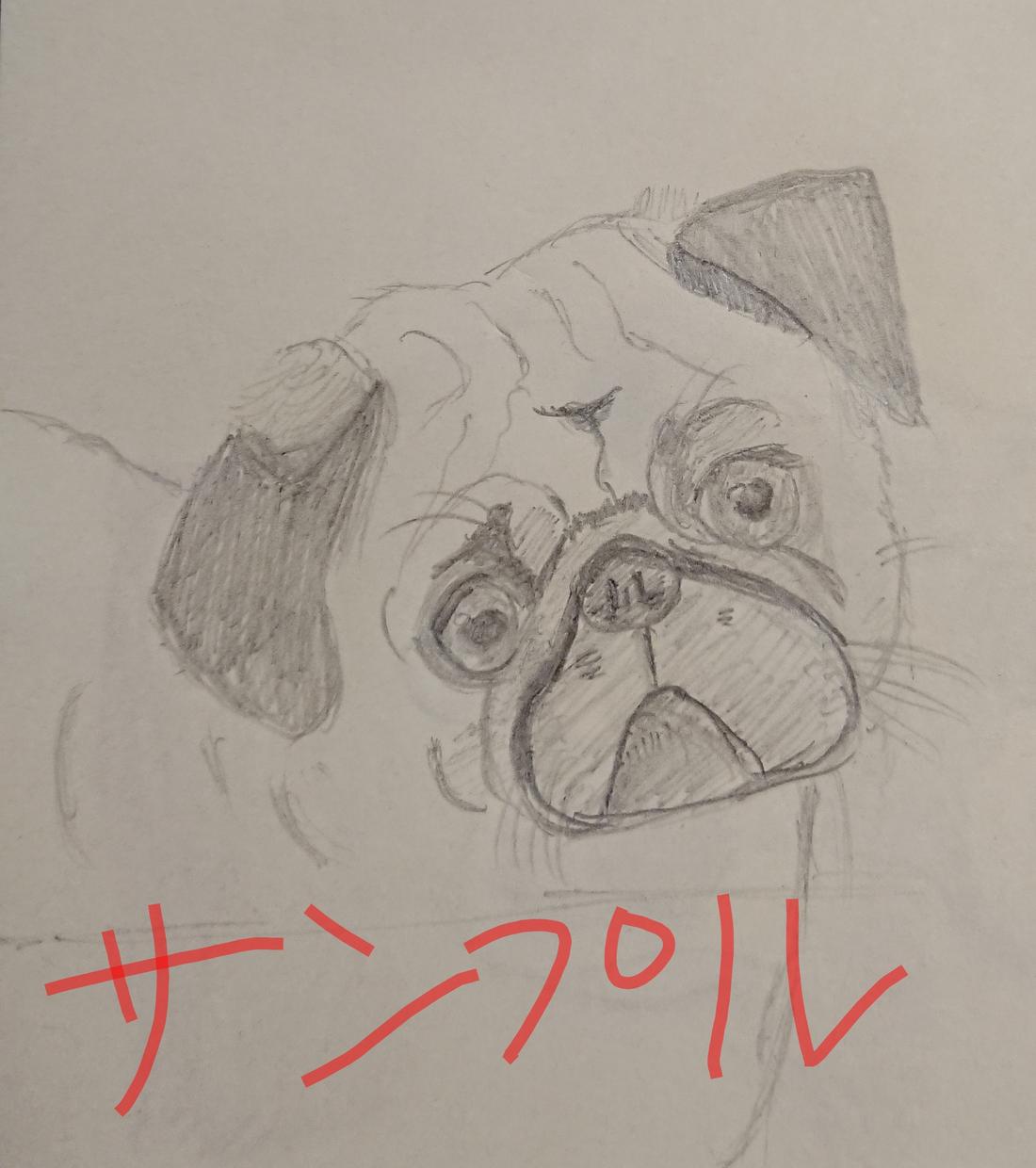 ペットの似顔絵描きます 鉛筆のみで可愛くお描きします!