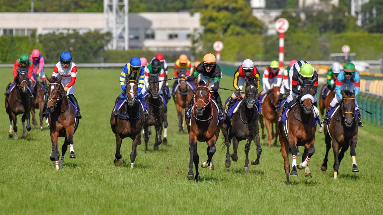 中央競馬の予想します ご指定頂いた中央競馬の予想します!