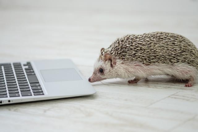 プロがSEO対策のWebサイトを制作します Webサイトを初めて待つ人、今のサイトで成果が上がらない人