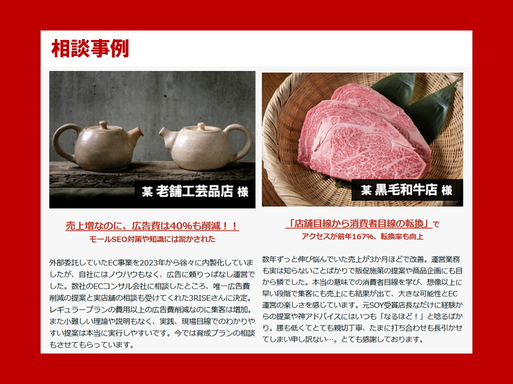 楽天 RPP広告運用代行 運営歴15年店長がします ≪元ショップオブザイヤー受賞＆運営歴15年の実績重視店長≫ イメージ8