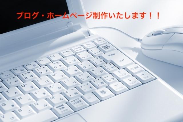 ブログ初心者用のサイト構築を致します 希望のデザインや骨子でブログの土台を作ります
