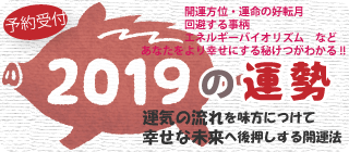 幸福な未来を後押しする2019年開運法を伝授します 対面相談の鑑定暦14年のプロ占い師兼心理カウンセラーにお任せ イメージ1