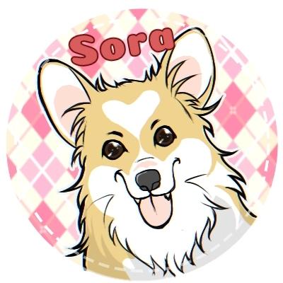 ペットちゃんのアイコンを描きます 頂いたお写真からアニメ調に可愛く描かせていただきます!