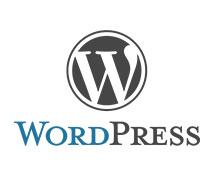 サーバーにWordpressをインストールします WordpressでオリジナルのブログやHPを始めたい方へ