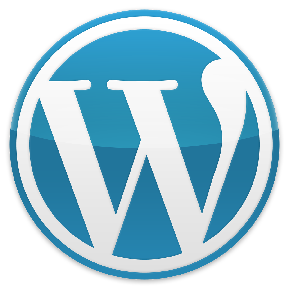 Wordpressのインストールをお手伝いします これからブログやホームページつくりを始めたい方は是非!