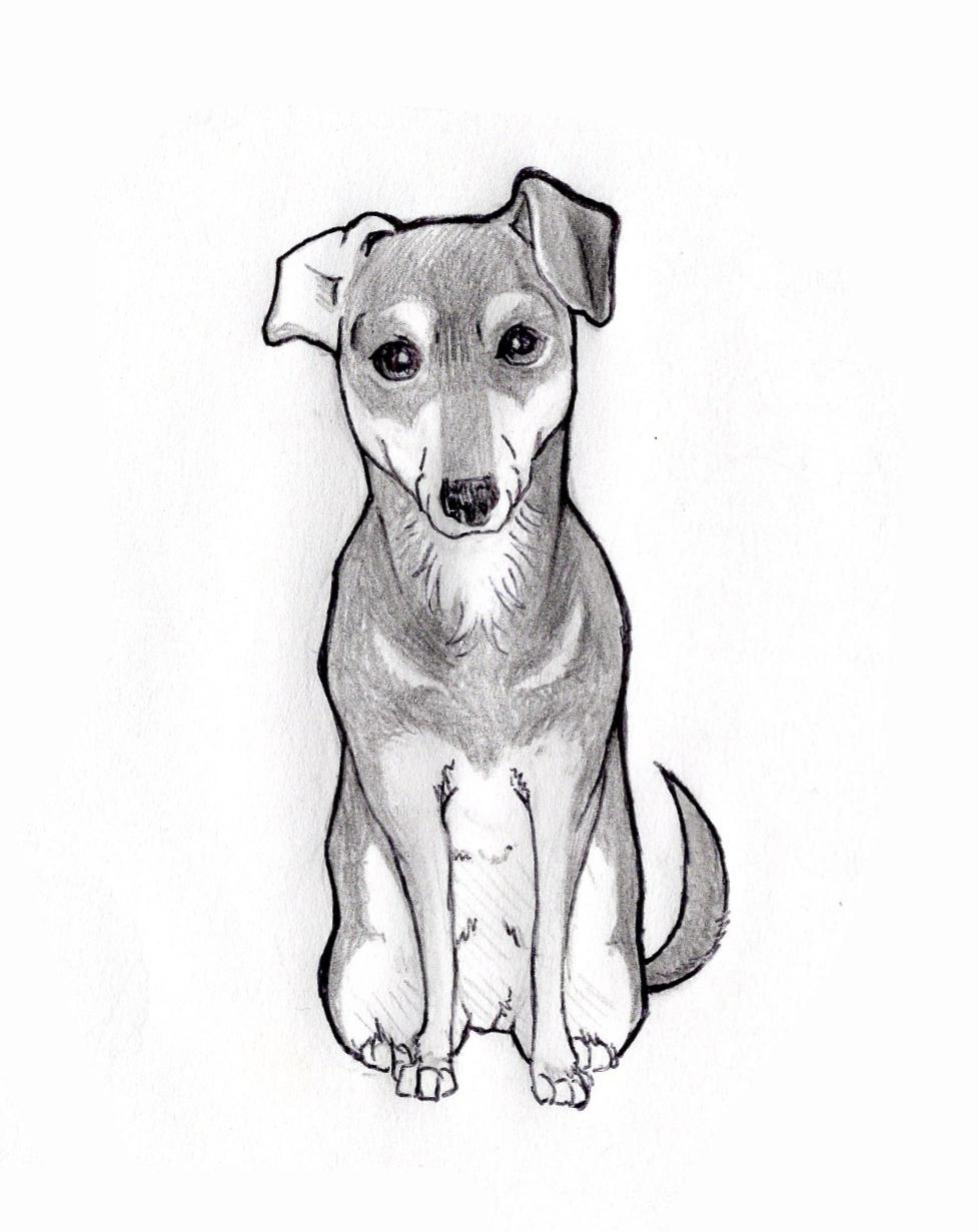 どんな動物のペットのスケッチを描きます 犬・猫から小動物・爬虫類まで!
