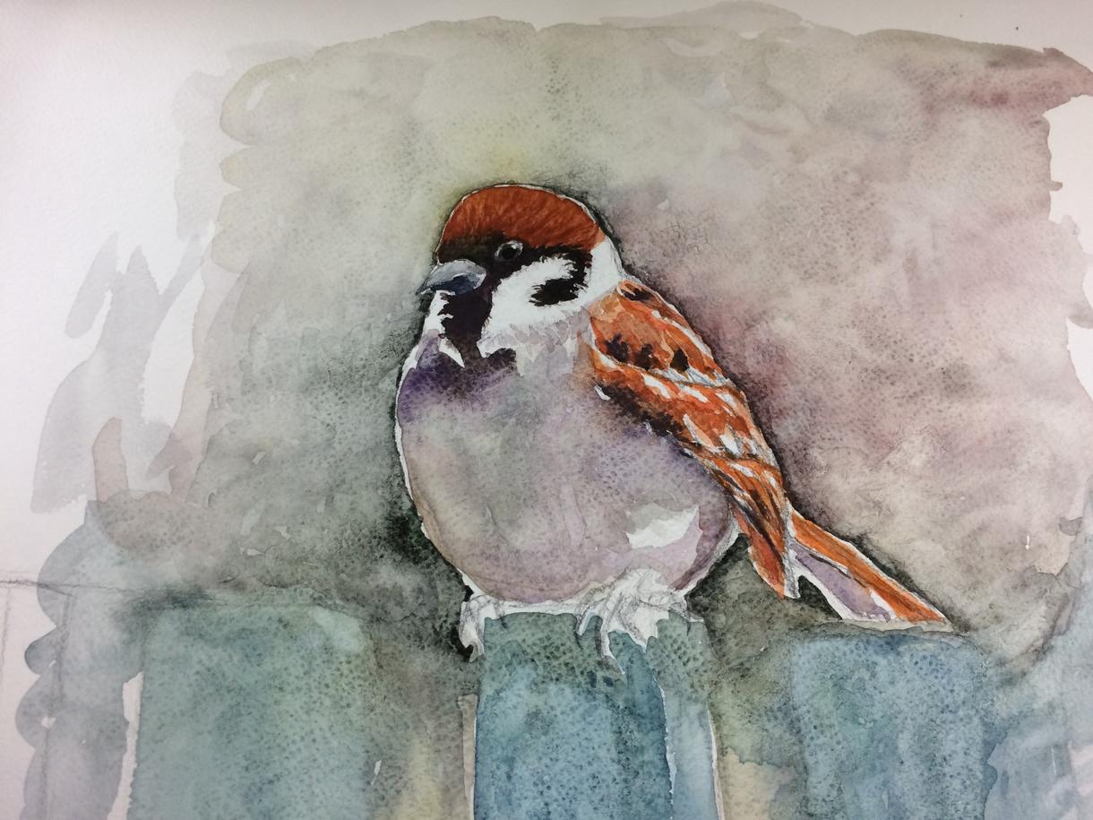 水彩でアイコンやヘッダーを描きます 実際にいる動物や植物などを描きます