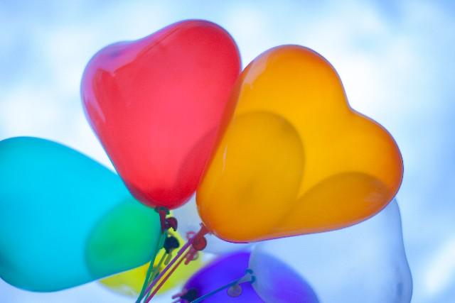 WEB用の画像を加工・修正いたします ブログへ掲載するための写真などにいかがですか?