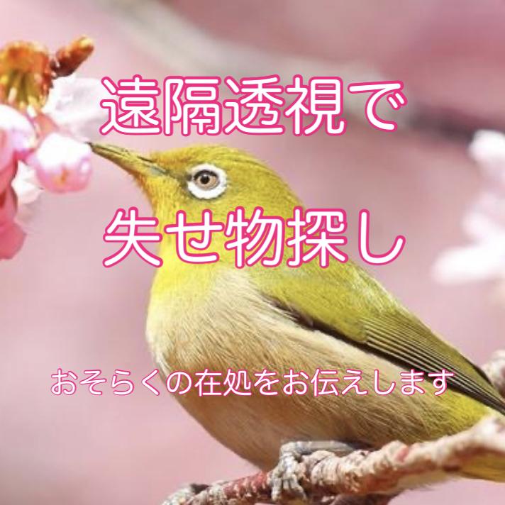 失せ物探し 可能性ピックアップします 遠隔透視による探し物のお手伝いをします その他 占い ココナラ