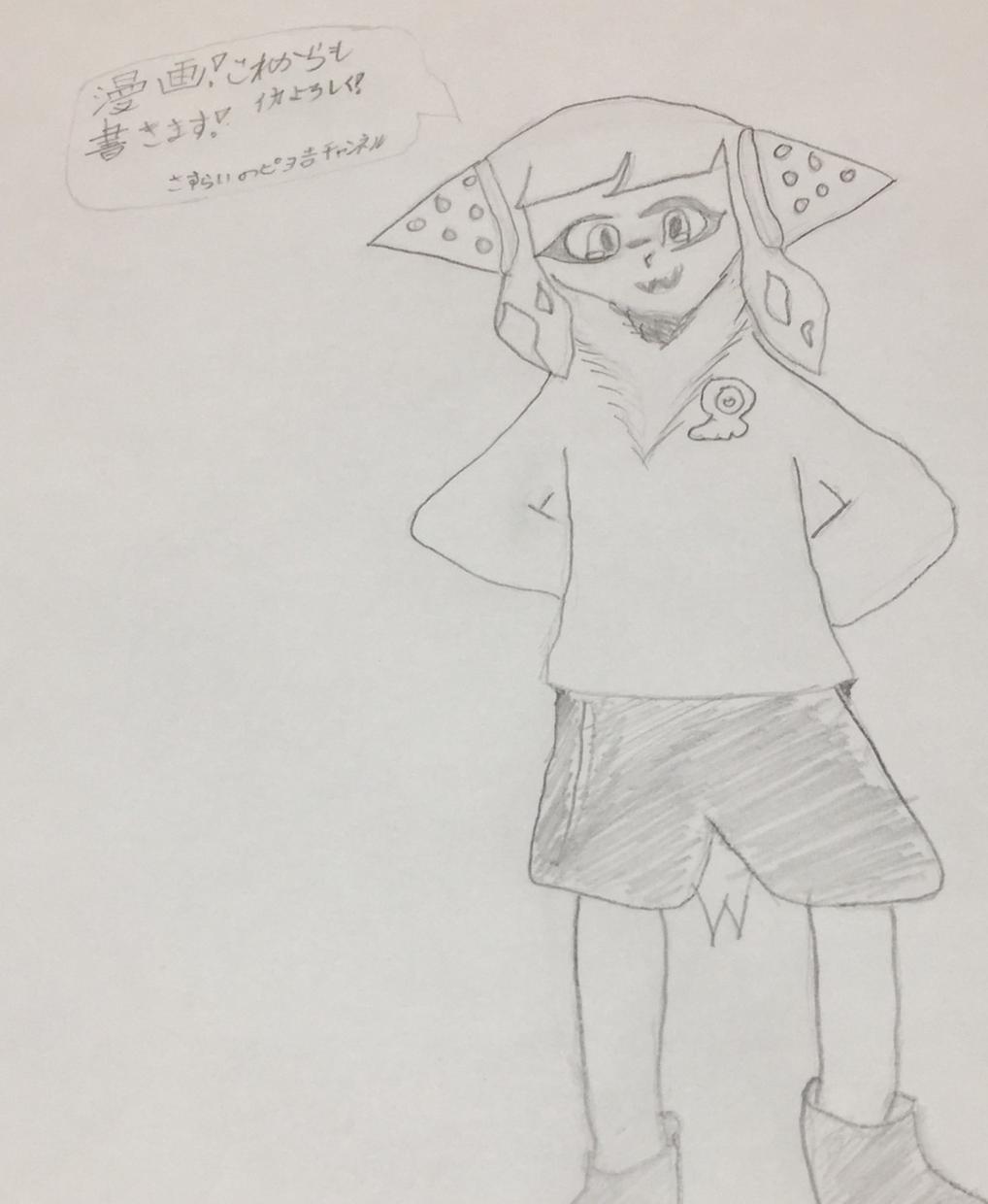 これは、スプラトゥーン向けの絵でございます この商品はスプラトゥーンなので間違えないようにして下さい