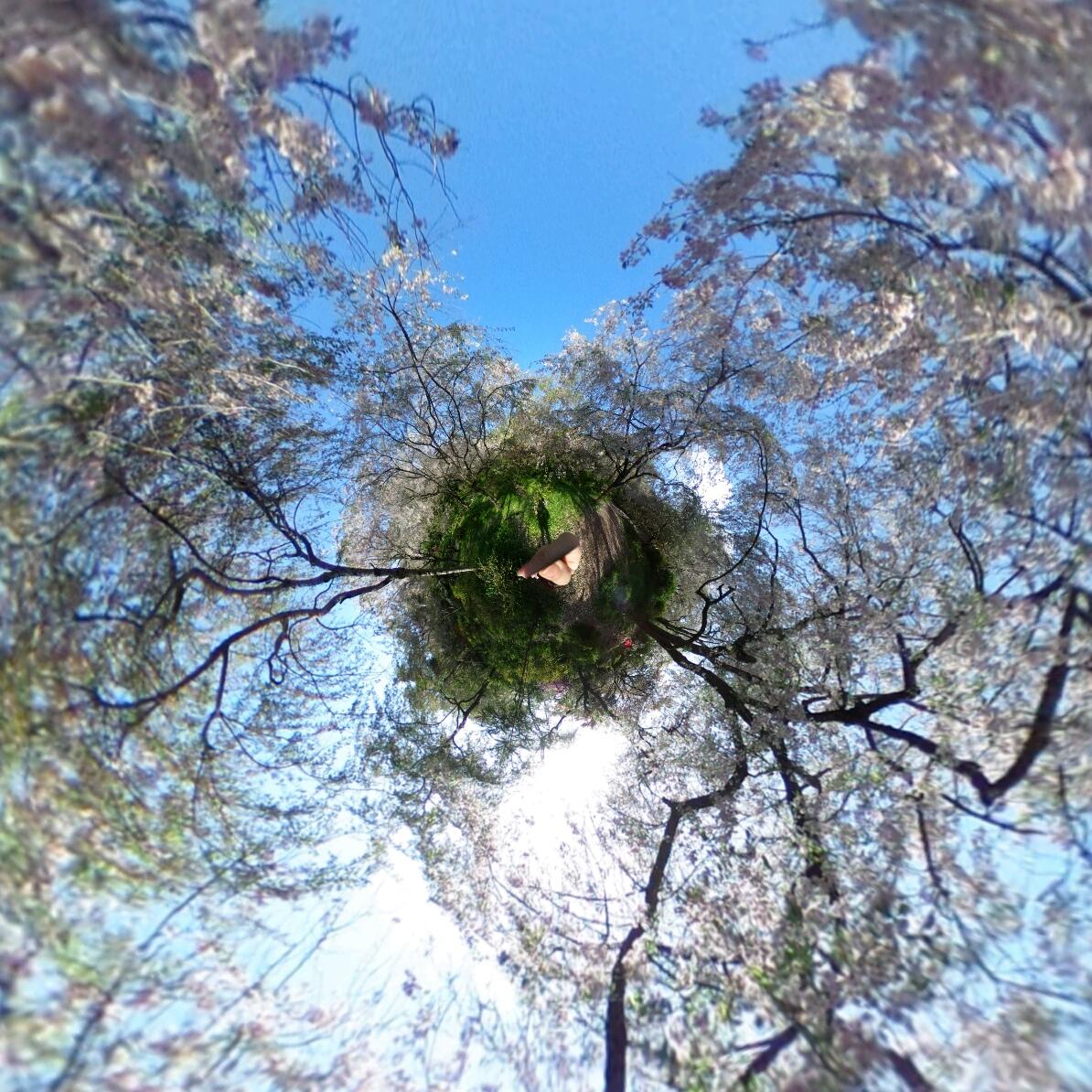 360°カメラで京都の写真を提供します♪ます 気になるスポット、観光、旅行の下見や絵の資料などにも