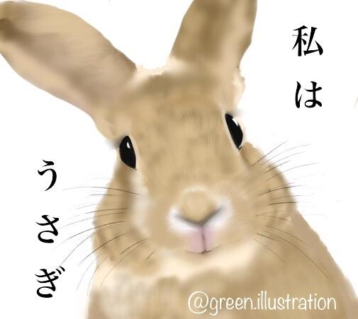 ペット(動物)のイラスト描きます サムネ画像、グッズ作成、遺影用等様々な用途にご活用下さい