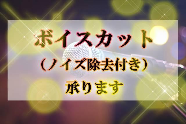 音声のボイスカット承ります アマチュア声優さん、ボイスコさんの方などへ
