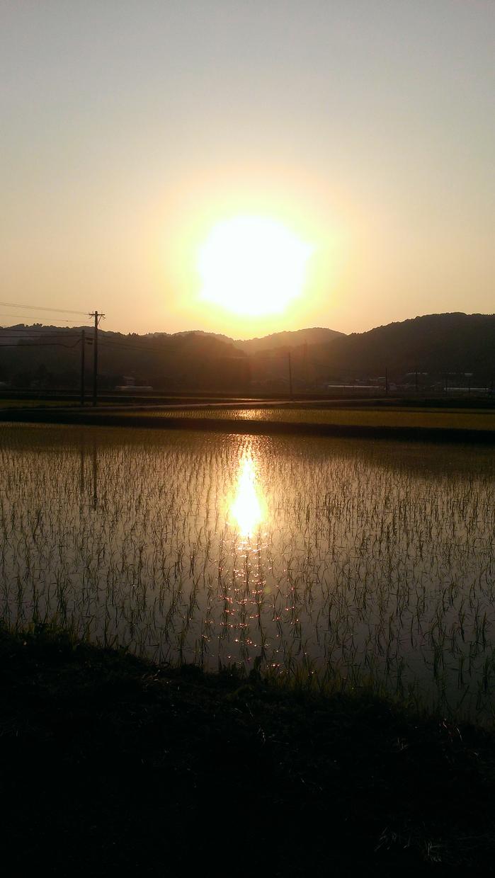 癒しの写真撮ります。
