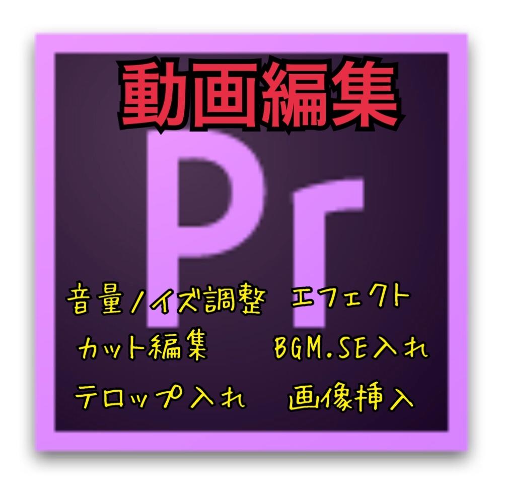 動画編集致します YouTube動画のカット、テロップ入れ、BGM.SE挿入