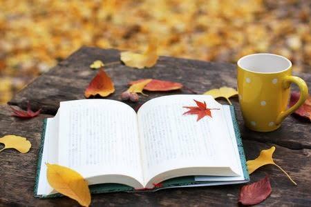 1ヶ月間、あなたの読書に寄り添います 読書が好きな方★感想を共有しながら、楽しい読書にしませんか?