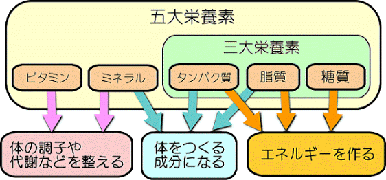 あなたの1日の食事内容から足りない栄養素、摂りすぎている栄養素を算出します‼︎ イメージ1
